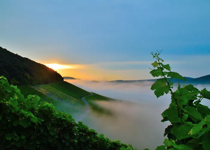 Winzerhof Duering