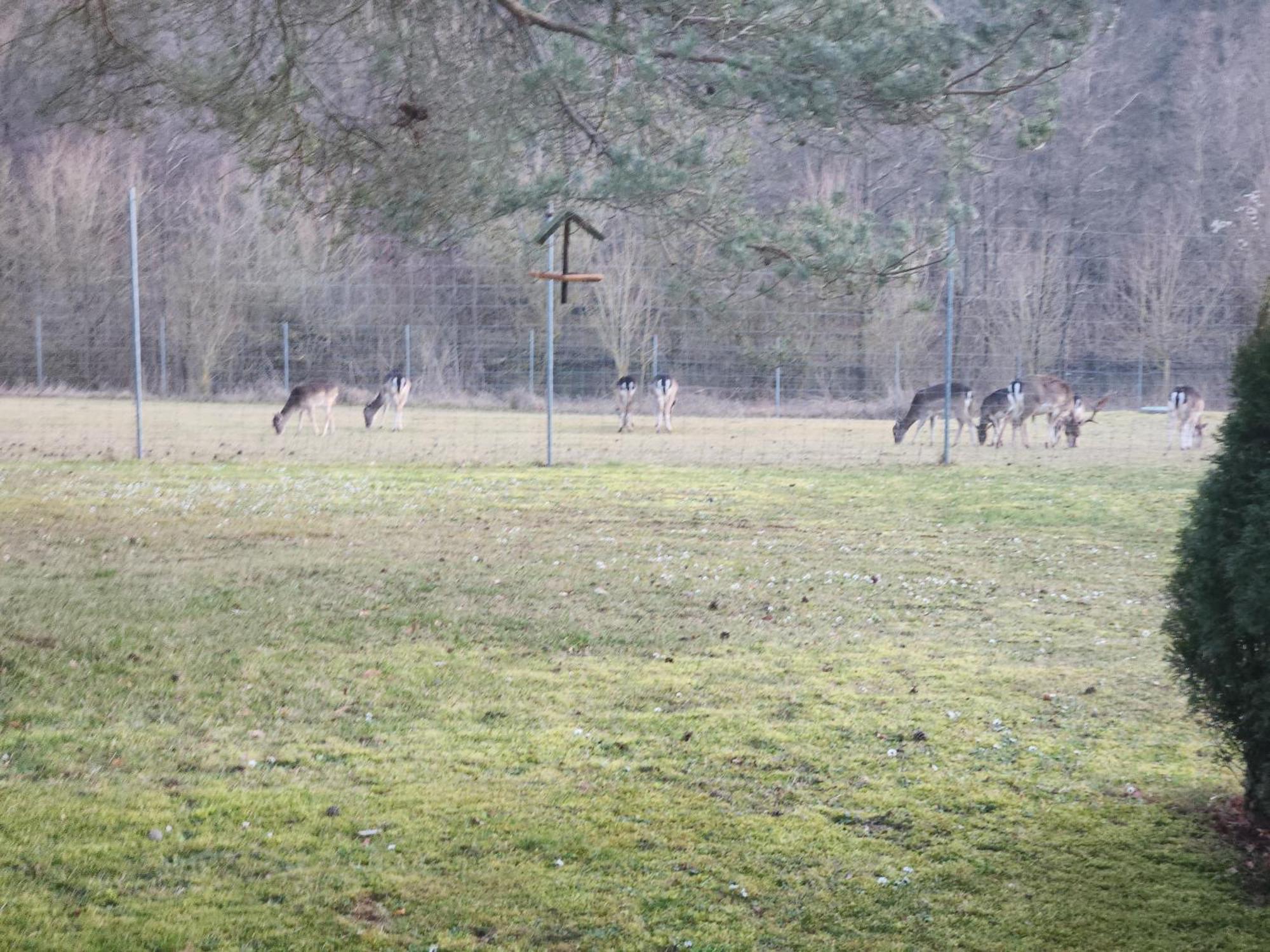 Winzerhof Duering Iphofen